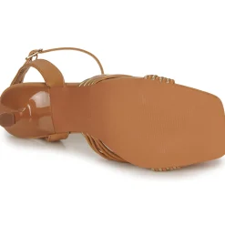 Best Bullboxer - 156002F2S