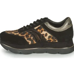 New Café Noir - BORDA