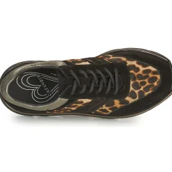 New Café Noir - BORDA