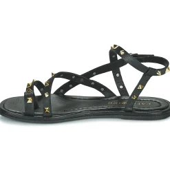 Outlet Café Noir - C1GD1040 Noir