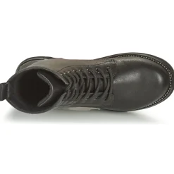 Online Café Noir - ETELA Noir