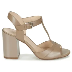 Café Noir - GIMOTTI Taupe