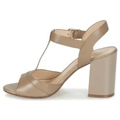 Café Noir - GIMOTTI Taupe