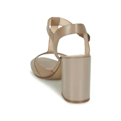 Café Noir - GIMOTTI Taupe