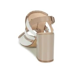 Hot Café Noir - GONFERT