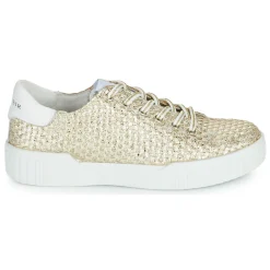 Hot Café Noir - JANISA