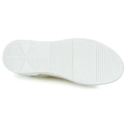 Hot Café Noir - JANISA