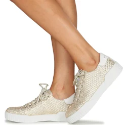 Hot Café Noir - JANISA