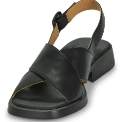 Online Camper - DN0A Noir