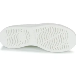 Online Camper - K201580-001