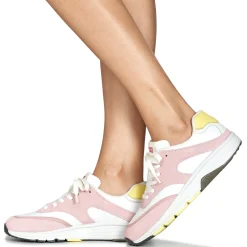 Discount Camper - KIT