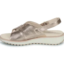 Online Caprice - 28702