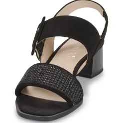 Best Caprice - 28203 Noir