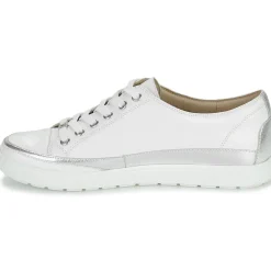 Hot Caprice - BUSCETI