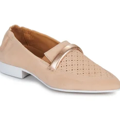 New Casta - QANVA Camel