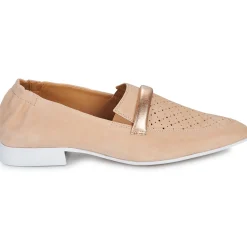 New Casta - QANVA Camel