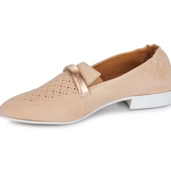 New Casta - QANVA Camel