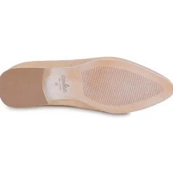 New Casta - QANVA Camel