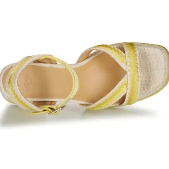 Sale Castaner - VEGA