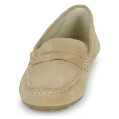 Hot Casual Attitude - ISAWA Beige