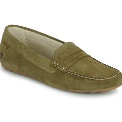 New Casual Attitude - ISAWA Kaki