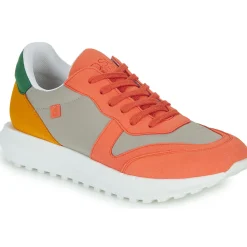 Online Casual Attitude - STRANI Gris