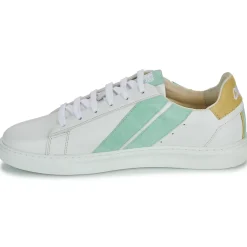 Clearance Caval - SLASH