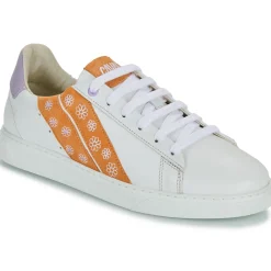 Discount Caval - SLASH