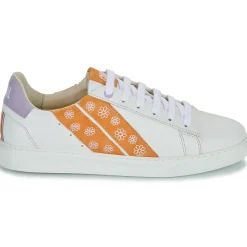 Discount Caval - SLASH