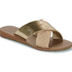 Sale Chattawak - BRANA