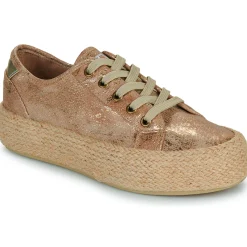 Hot Chattawak - PACO