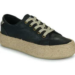 New Chattawak - PACO Noir