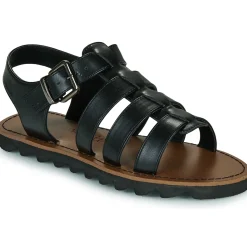 New Chattawak - TERRA Noir