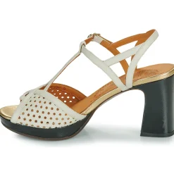 Best Chie Mihara - KEGY