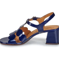 Clearance Chie Mihara - LAIZA Bleu