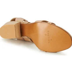 Best Coclico - CERSEI Taupe