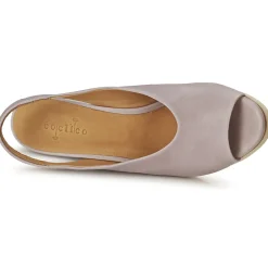 Coclico - NELS Violetclair