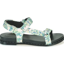 Online Cosmo Paris - HINES-CANVAS