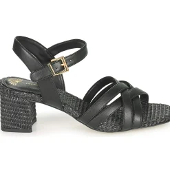 Cosmo Paris - ZAGGI-VEGRAF Noir