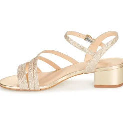 Hot Cosmo Paris - ZEDI-GLIT Platine