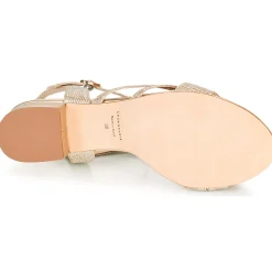 Hot Cosmo Paris - ZEDI-GLIT Platine