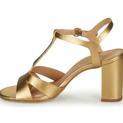 Clearance Cosmo Paris - ZOUM Doré