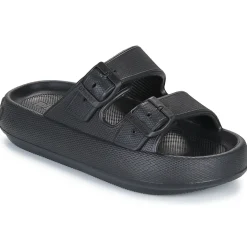 Best D.Franklin - 334 BLOOMER Noir