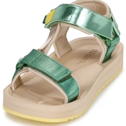 Hot D.Franklin - 361 FOREST Vert