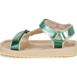 Hot D.Franklin - 361 FOREST Vert