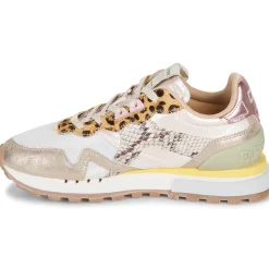 New D.Franklin - 378 VIBLA Doré