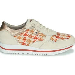 Clearance Dorking - ALGAS