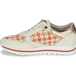 Clearance Dorking - ALGAS