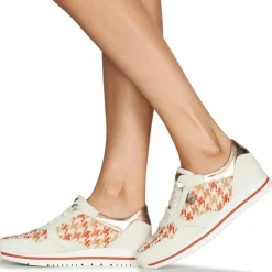 Clearance Dorking - ALGAS