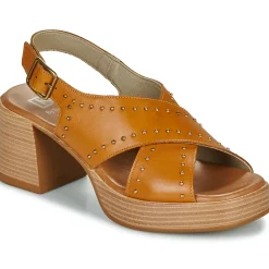 New Dorking - DIAMOND Camel